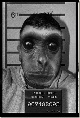 2168341532_e4df2f1583