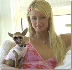paris_hilton_baby_luv