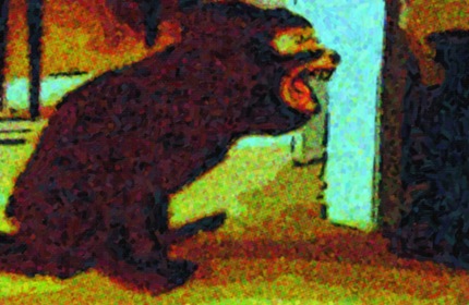 Vincent Vangrove Ass Dragger EMToast