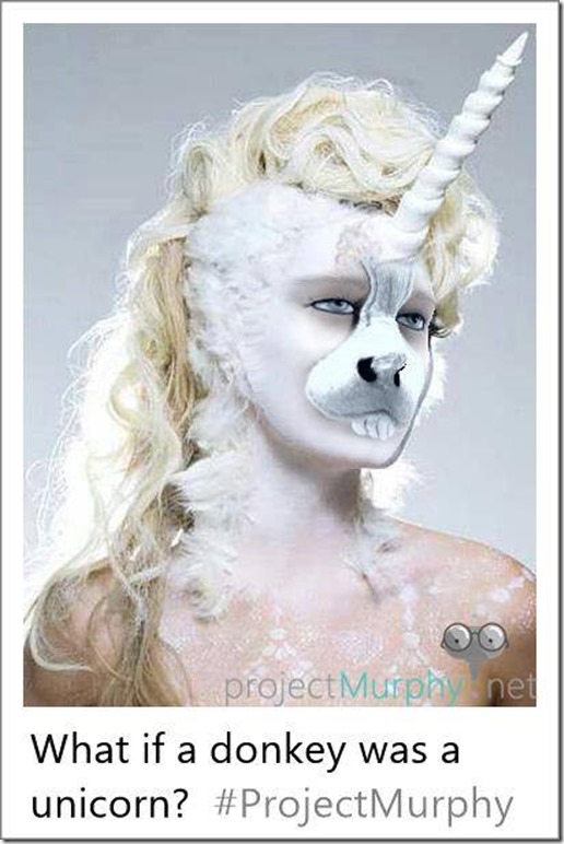 15577775_1344735312257703_1446487189_n